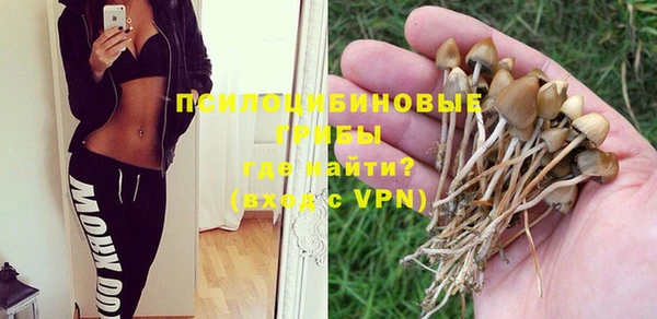 стафф Абдулино