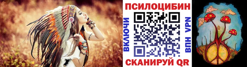 Псилоцибиновые грибы Psilocybine cubensis  Карасук 